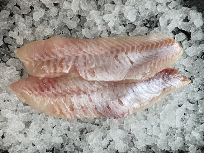 Frisches Rotbarschfilet ohne Haut 500g